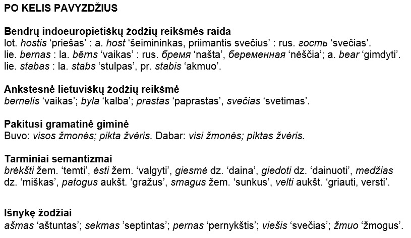 Žodžių raida.jpg