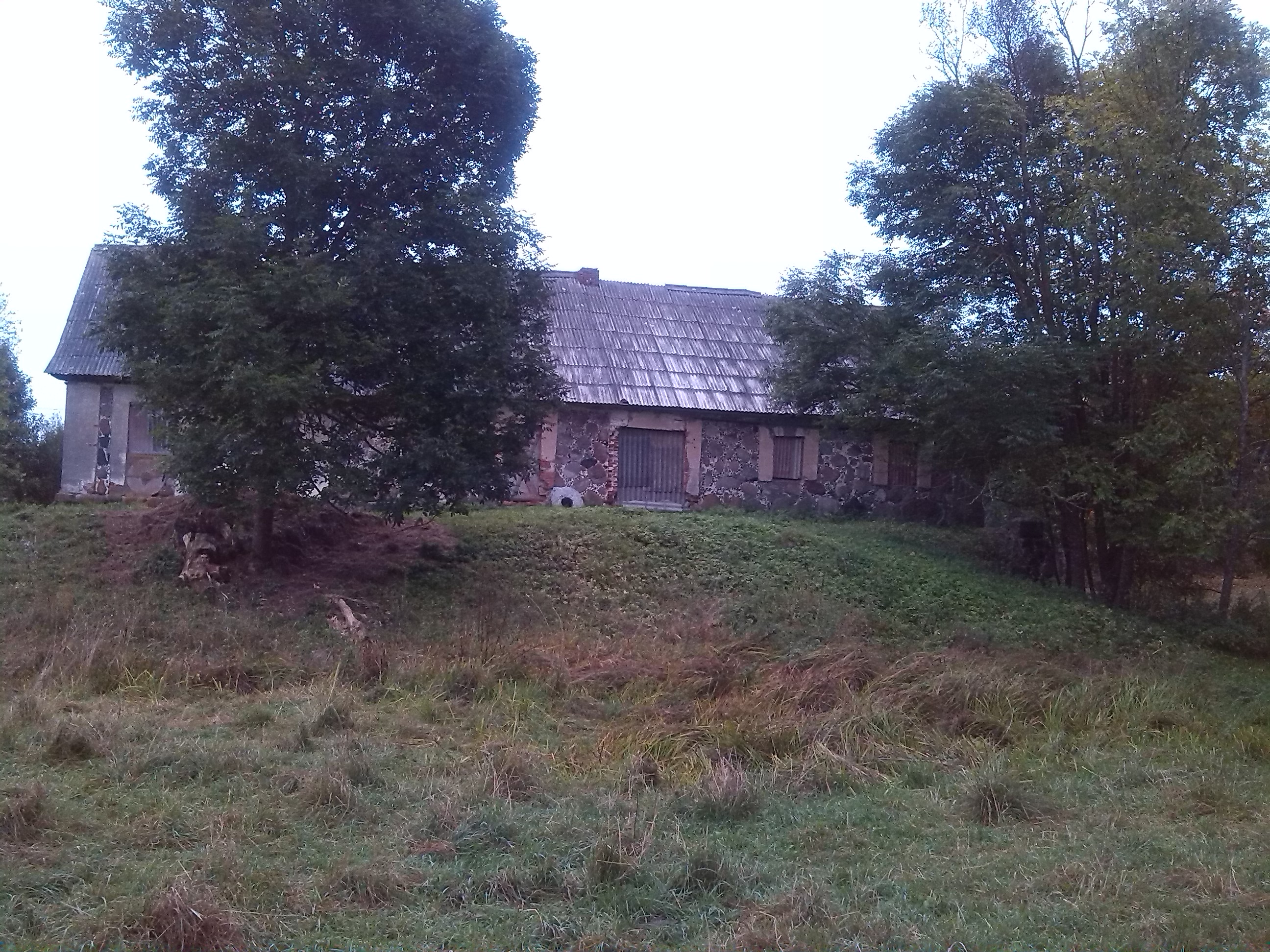 IMG_20130919_073607.jpg