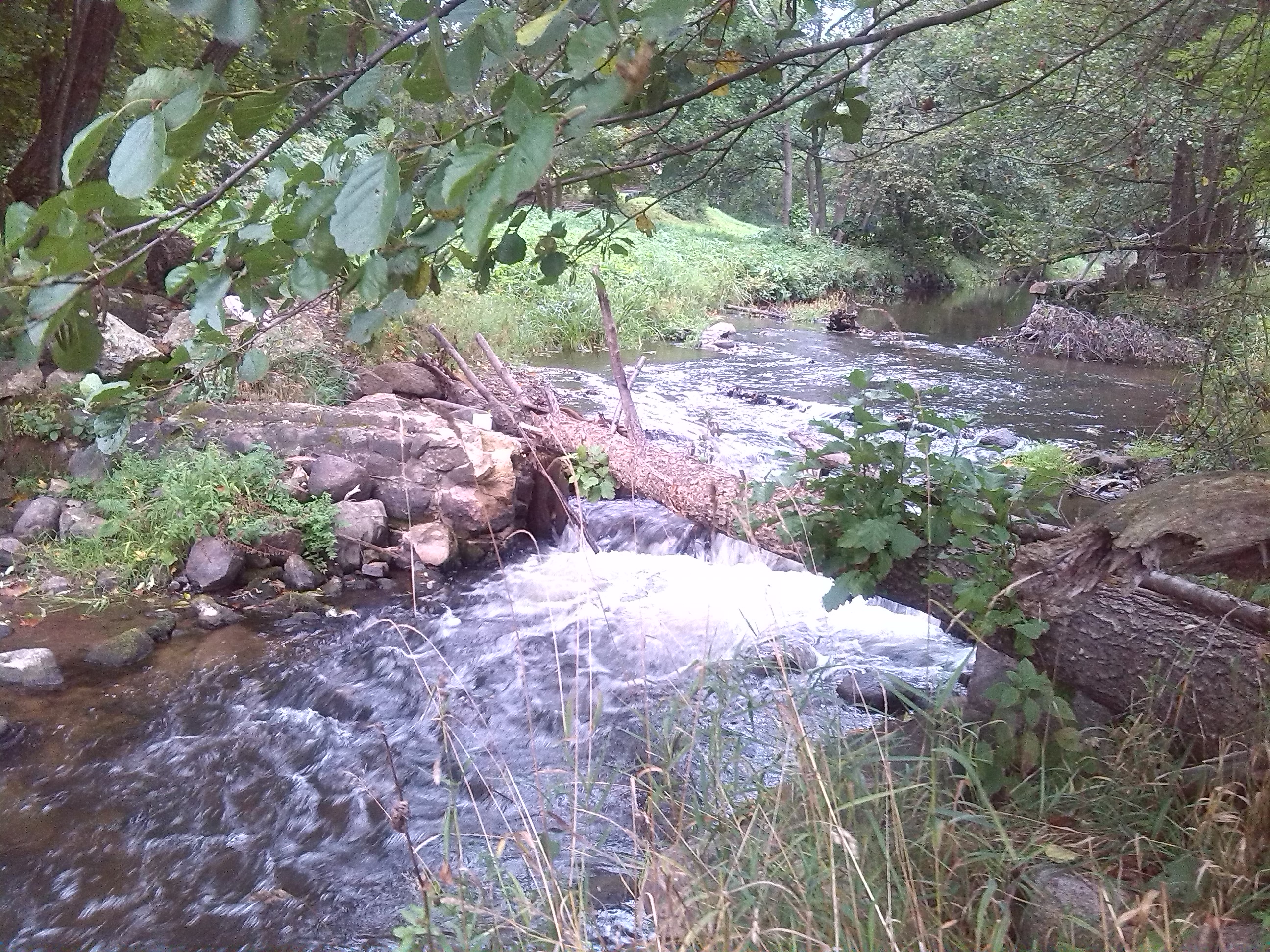 IMG_20130919_073409.jpg