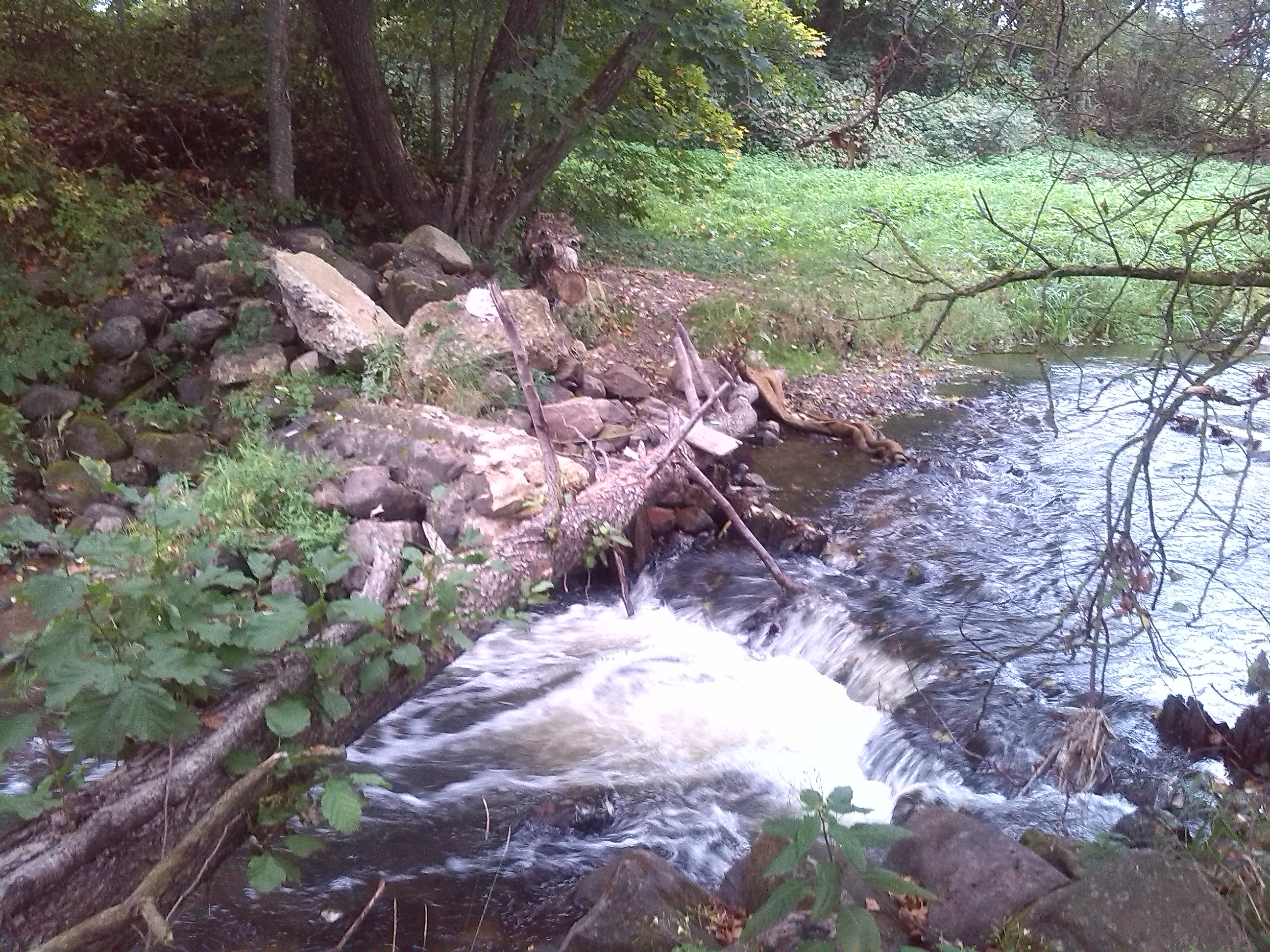 IMG_20130919_073421.jpg