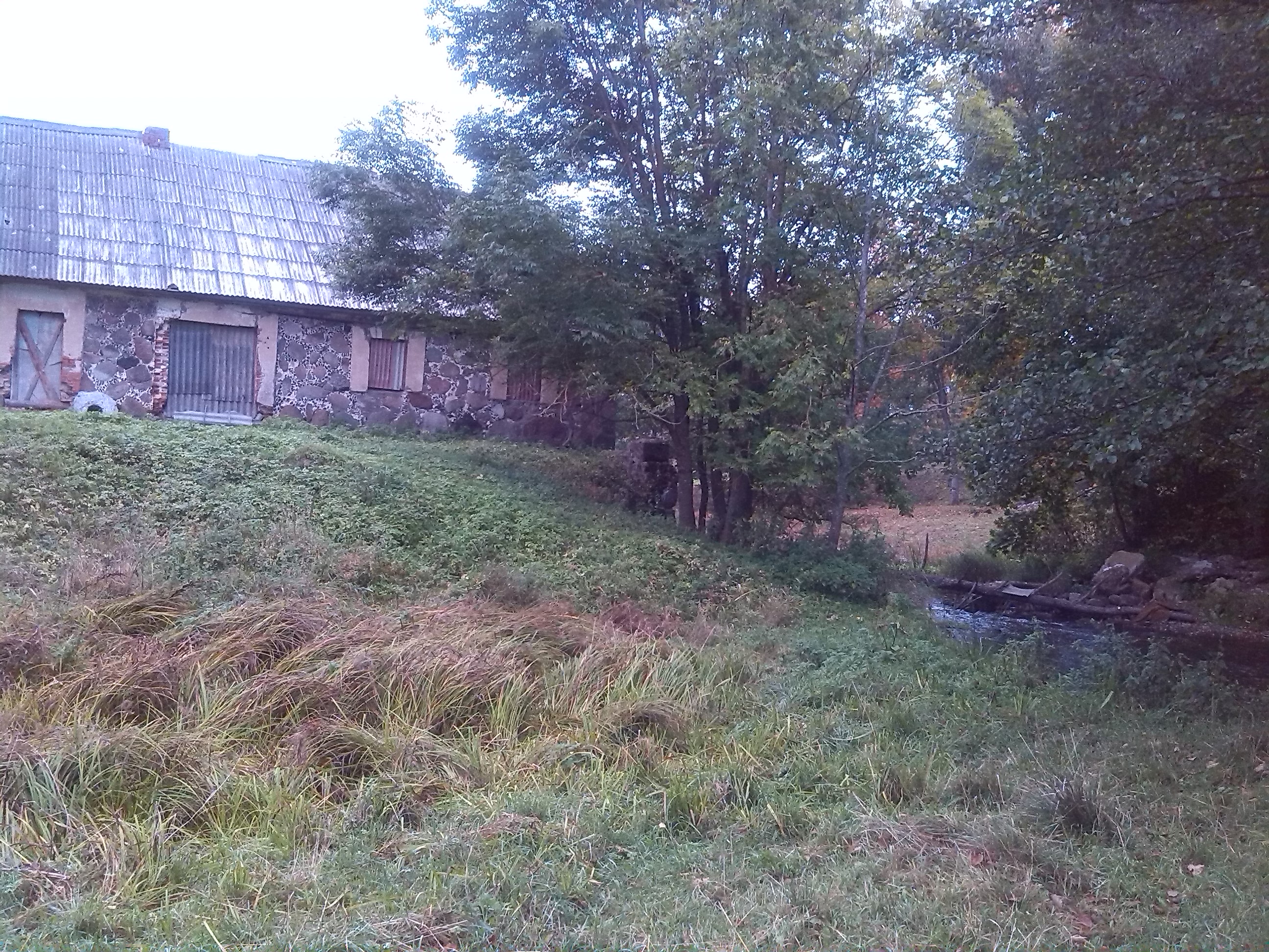 IMG_20130919_073622.jpg